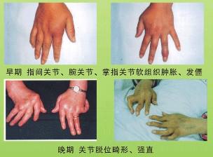 52404e43199621b456ac19859152377a.jpg