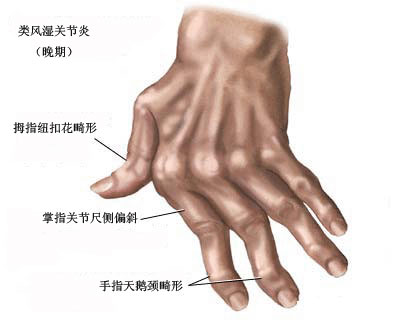 7907299d-7c3c-4394-b59a-1777bb54c7db.jpg