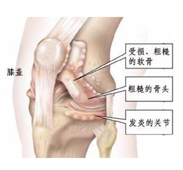 5-15040QQUY47.jpg