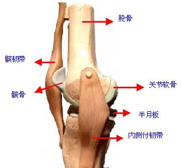 201271195429.jpg