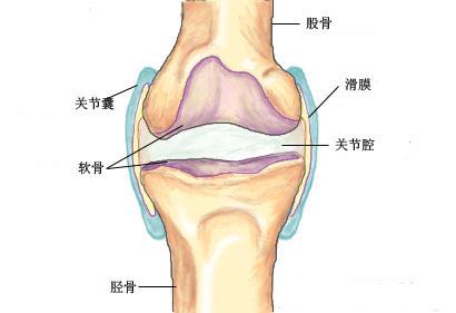 20120111133745-458598123.jpg
