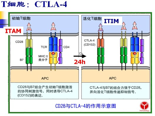 QQͼƬ20140710101521.jpg